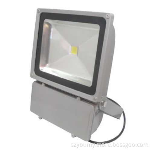 Commercial Floodlight, Silver Shell, IP65, 85-265V AC, Aluminum Body, with 100W Power, Pure White